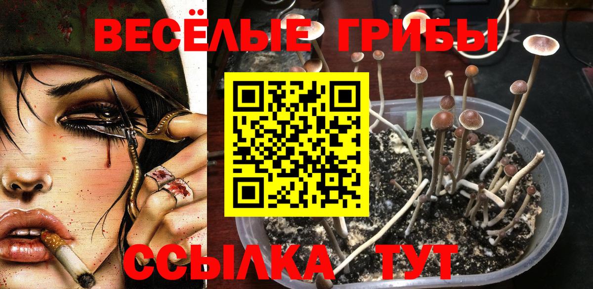 Псилоцибиновые грибы Анапа