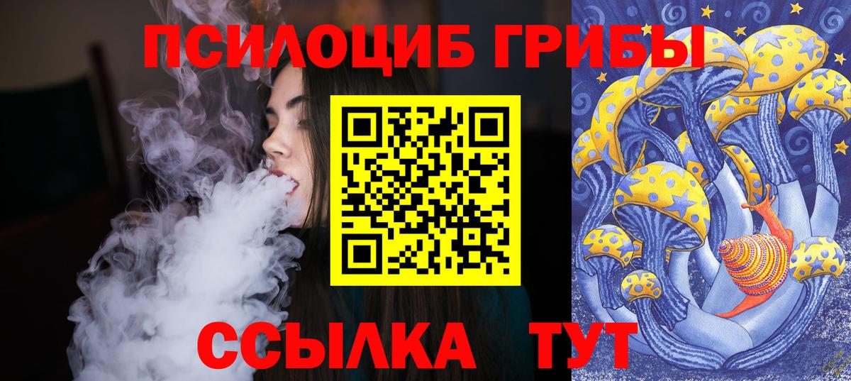 Галлюциногенные грибы Psilocybine cubensis Анапа