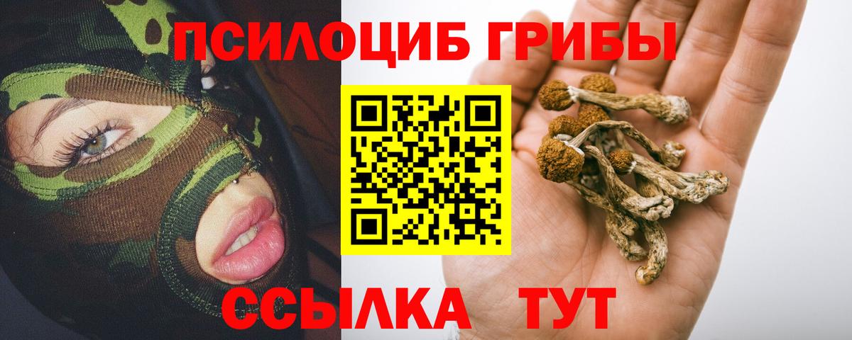 Анапа  Псилоцибиновые грибы мицелий  Вход с VPN  Псилоцибиновые грибы мухоморы 